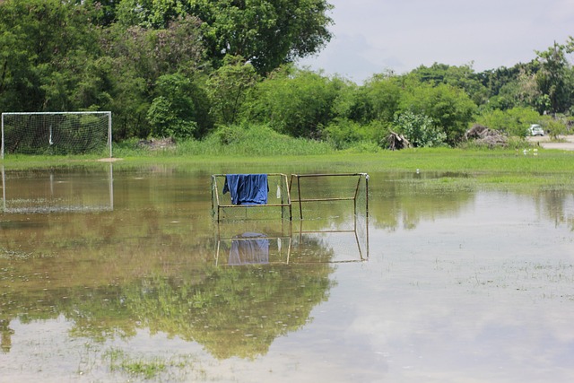 2025中冠奖项公布：厦门队张越包揽最佳球员、最佳射手